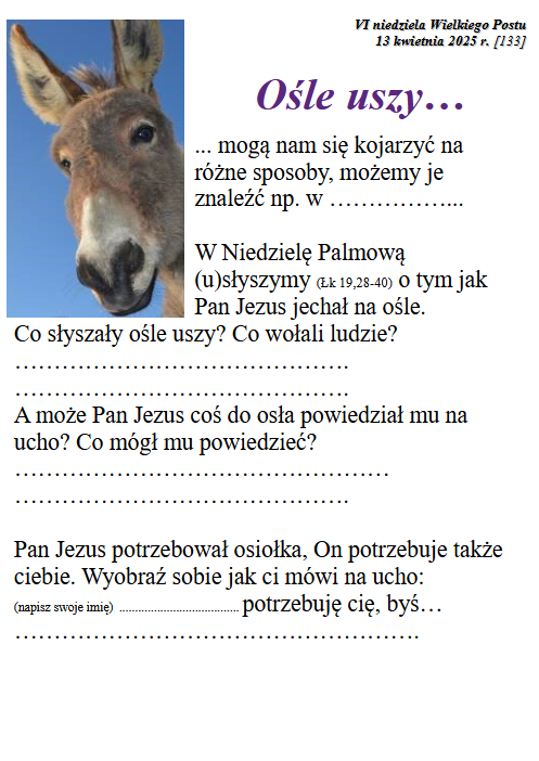 250413.6ndQ_osle-uszy