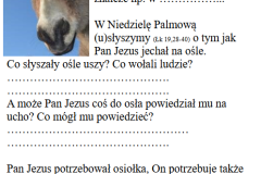 250413.6ndQ_osle-uszy