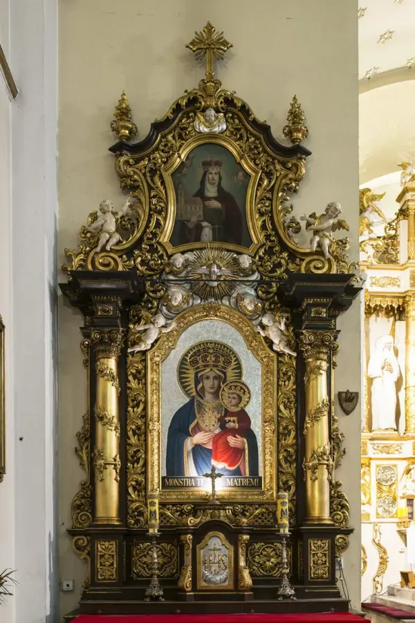 Czystość Maryi  (CM)